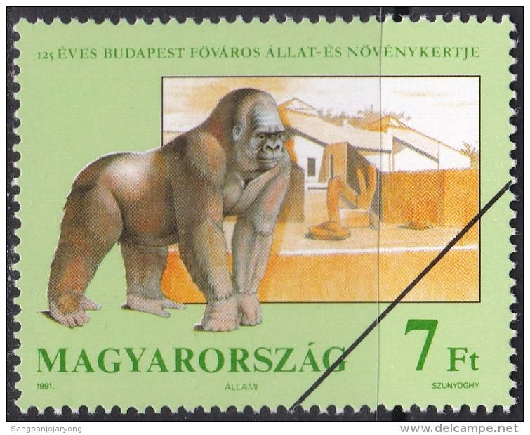 Specimen, Hungary Sc3288 Budapest Zoological And Botanical Garden, Gorilla, Gorille - Gorilles