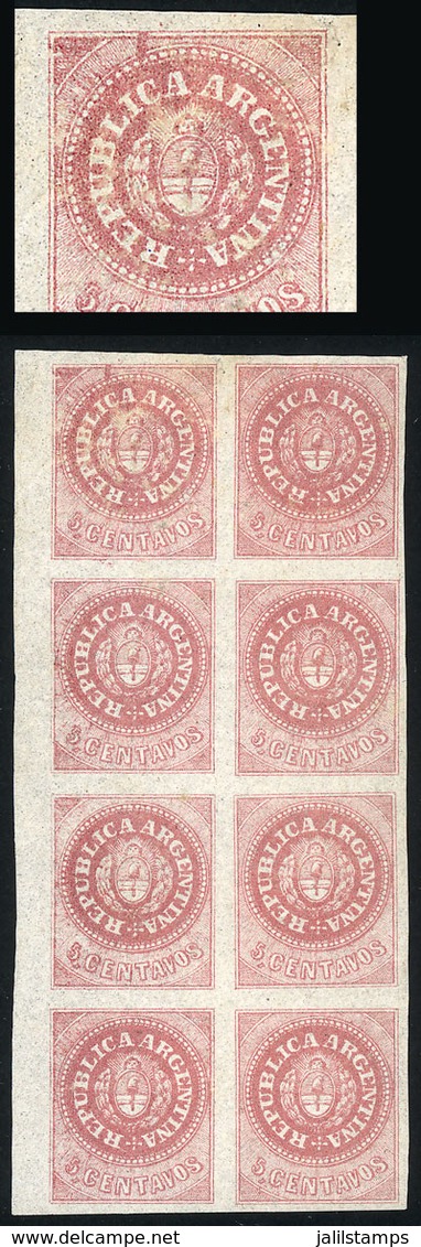 144 ARGENTINA: GJ.10, Beautiful Block Of 8, Mint No Gum, One Stamp With Minor Defect (an - Neufs