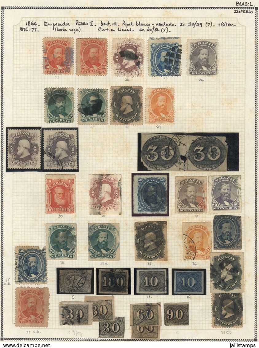 496 BRAZIL: Collection In Album (circa 1860 To 1980), With Mint (without Gum, Lightly Hi - Autres & Non Classés