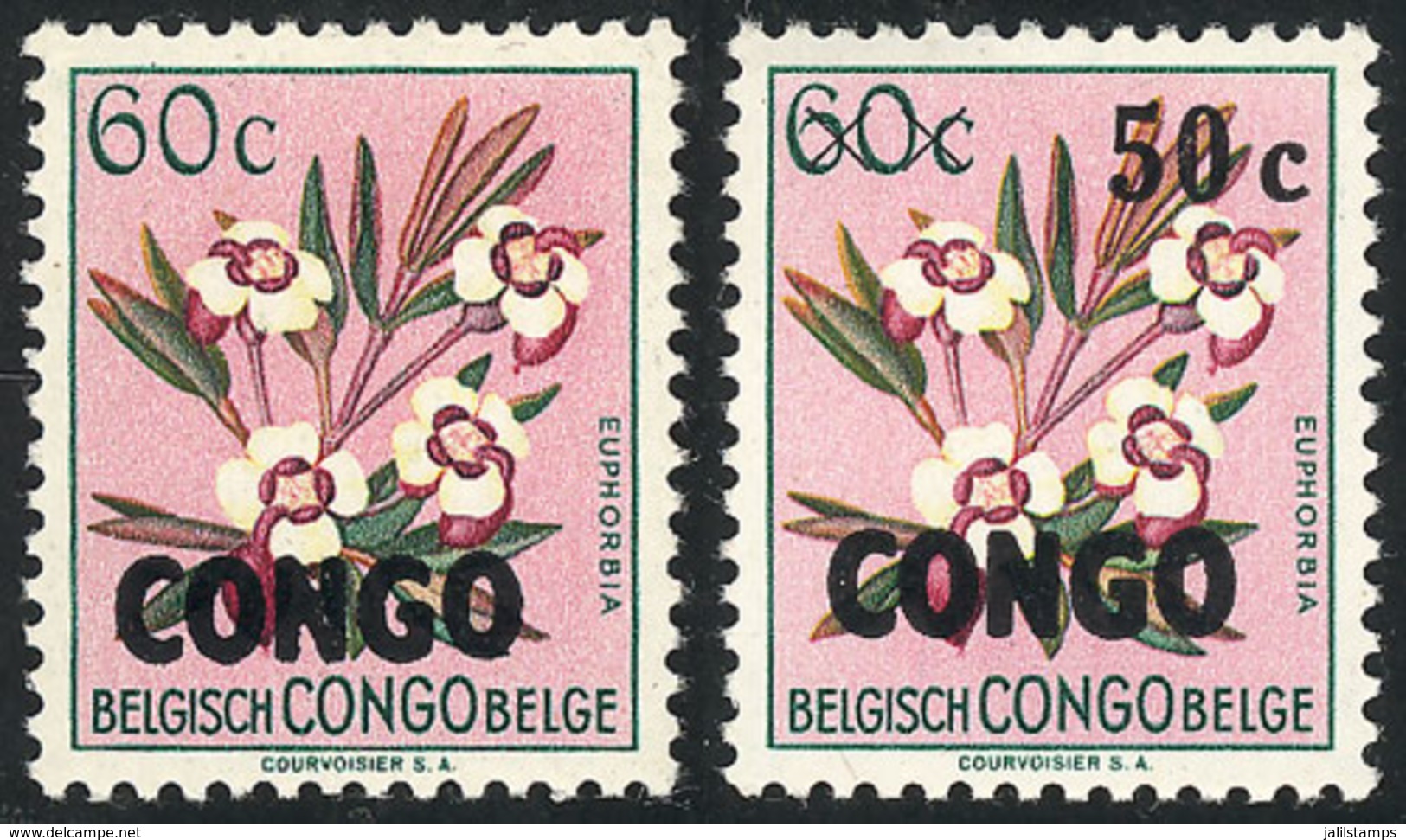 635 CONGO: Sc.327, 1960 Flower, 50c. On 60c. Of Belgian Congo, With VARIETY: Overprint O - Autres & Non Classés