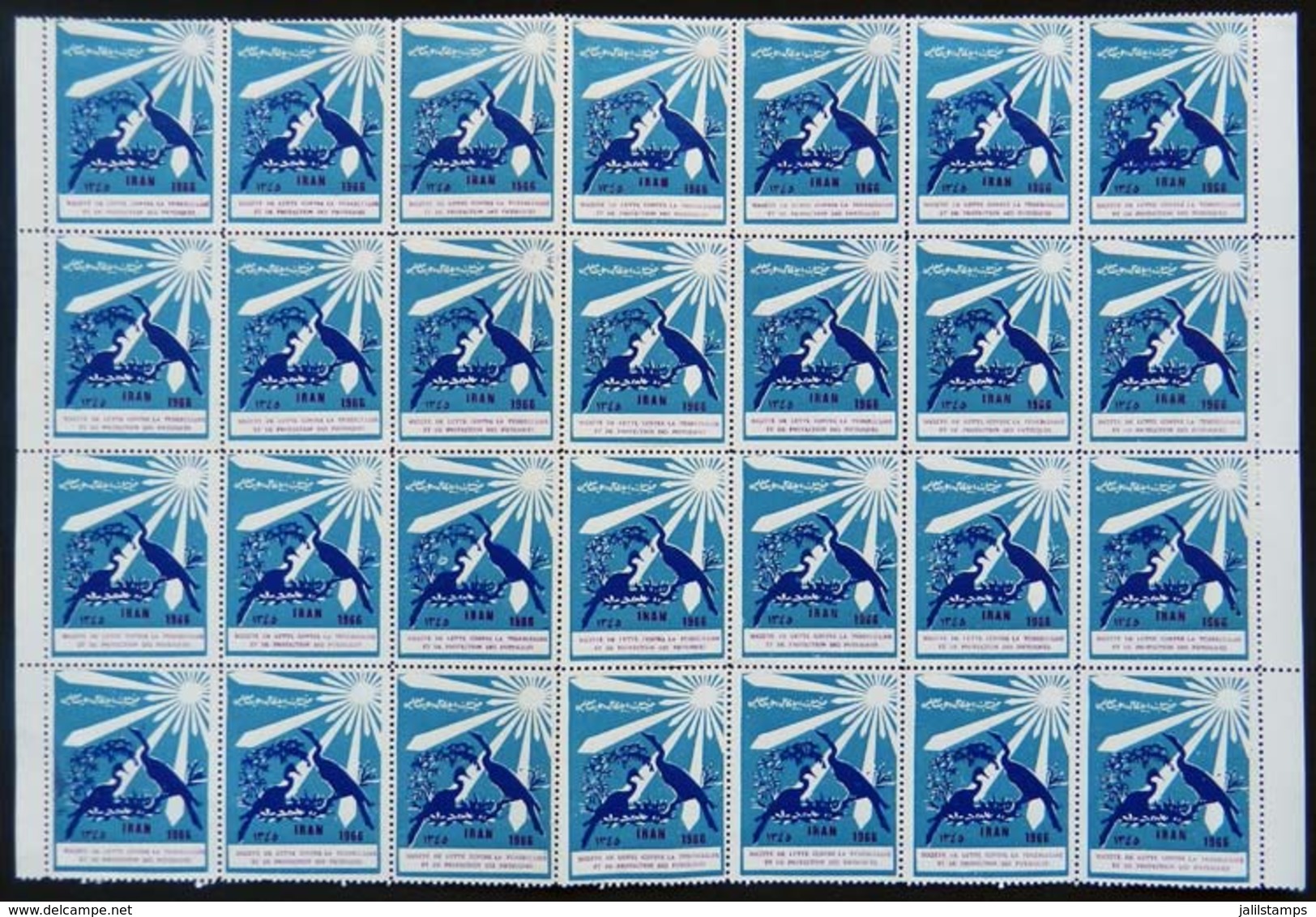 832 IRAN: FIGHT AGAINST TUBERCULOSIS: 1966 Issue, Large Block Of 28 Cinderellas, MNH, Ex - Iran