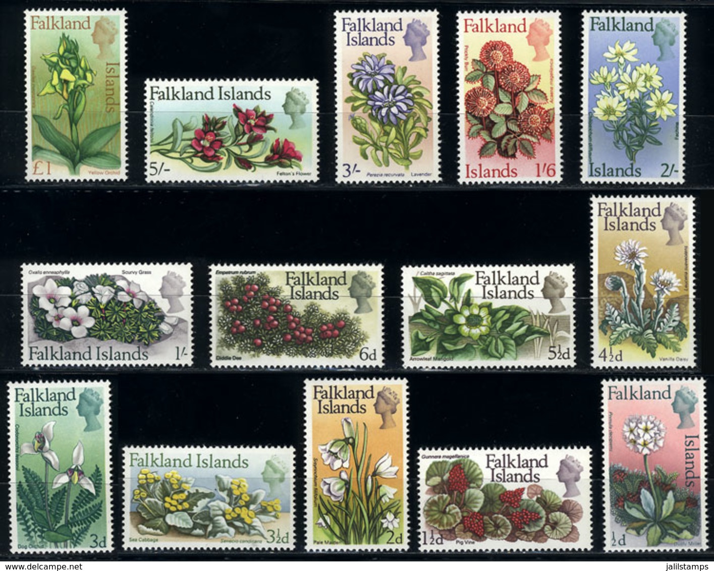 1040 FALKLAND ISLANDS/MALVINAS: Sc.166/179, 1968 Flowers, Cmpl. Set Of 14 Values, MNH, Ex - Falkland
