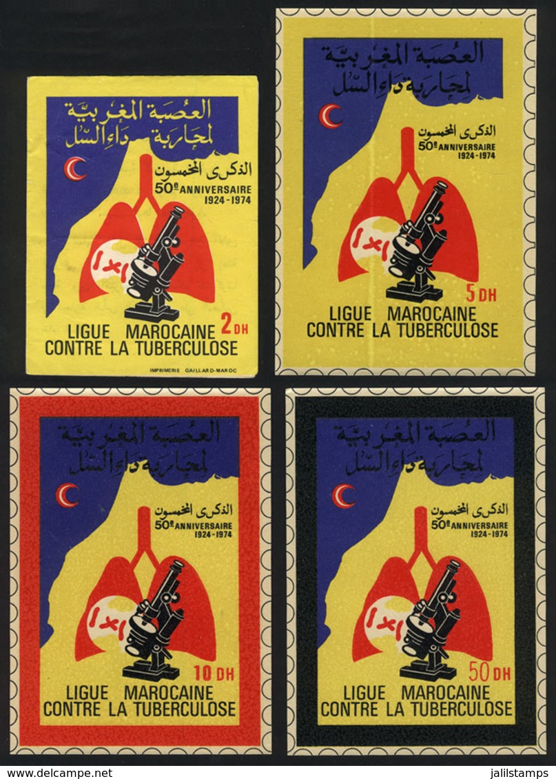 1053 MOROCCO: FIGHT AGAINST TUBERCULOSIS: 1974 Issue, Complete Booklet + 3 Window Labels - Maroc (1956-...)