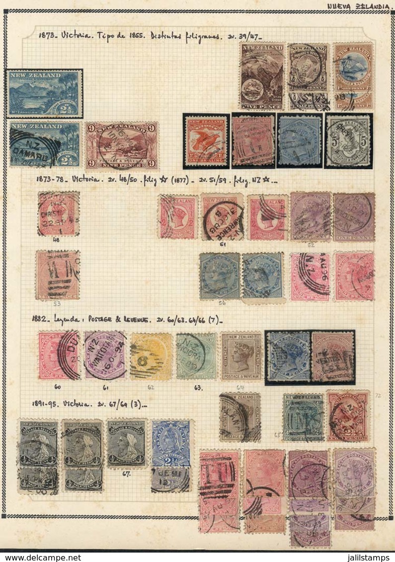 1101 NEW ZEALAND: Collection On Pages (circa 1873 To 1970), Used Or Mint Stamps, Most Of - Autres & Non Classés