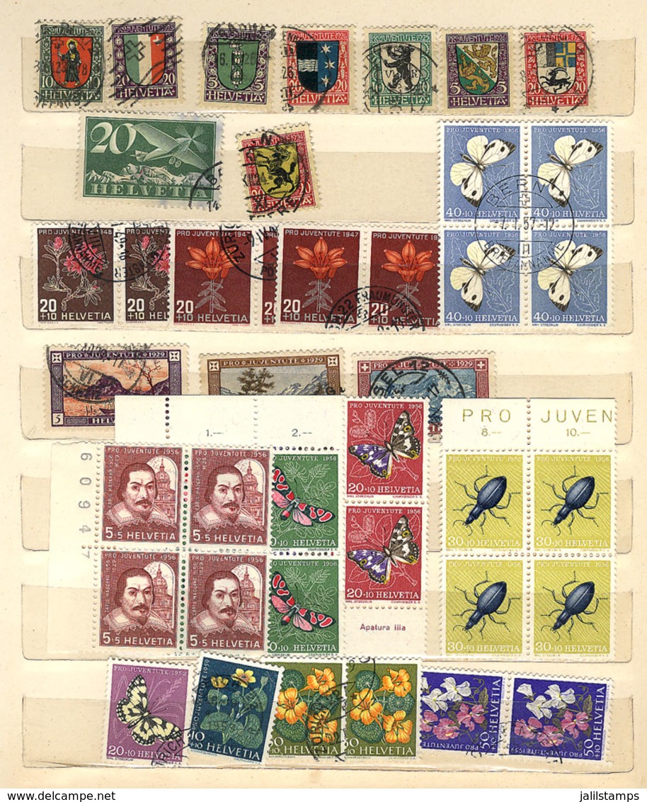 1203 SWITZERLAND: Stockbook With Mostly MNH And Some Used Stamps And Sets, All Of Excelle - Other & Unclassified