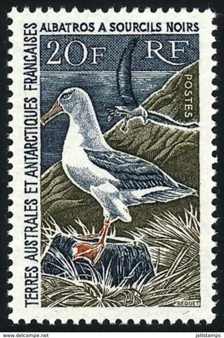 1205 TAAF: Sc.28, 1968 20Fr. Albatross, MNH, Excellent Quality, Catalog Value US$350. - Autres & Non Classés