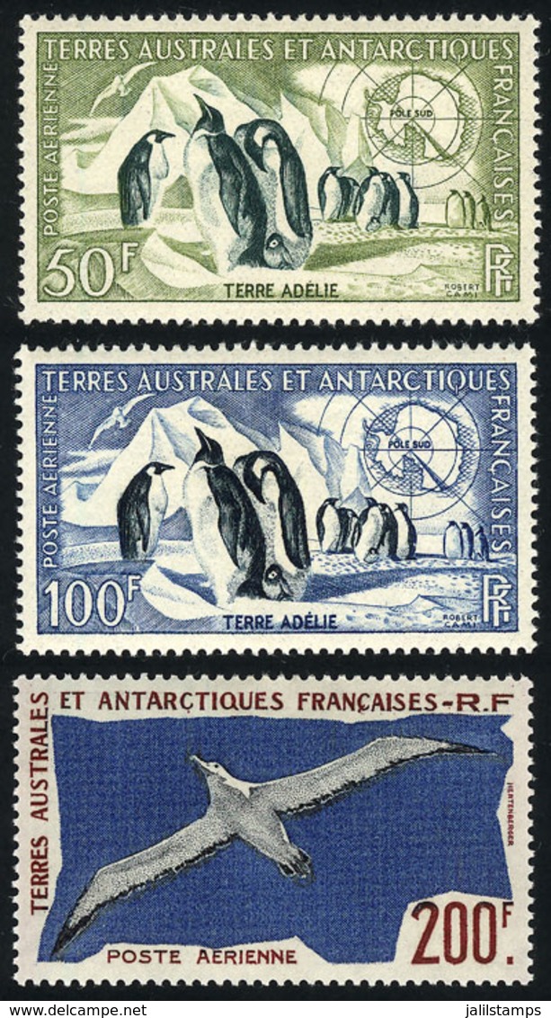 1207 TAAF: Sc.C1/C3, 1956 Penguins And 1959 Albatross, 3 Values MNH, Excellent Quality, C - Autres & Non Classés