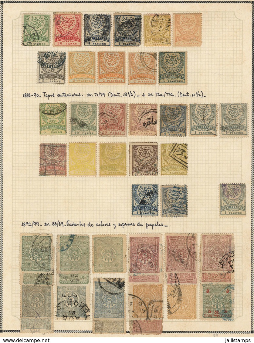 1217 TURKEY: Collection On Pages (circa 1876 To 1960), Used Or Mint Stamps, Most Of Fine - Autres & Non Classés