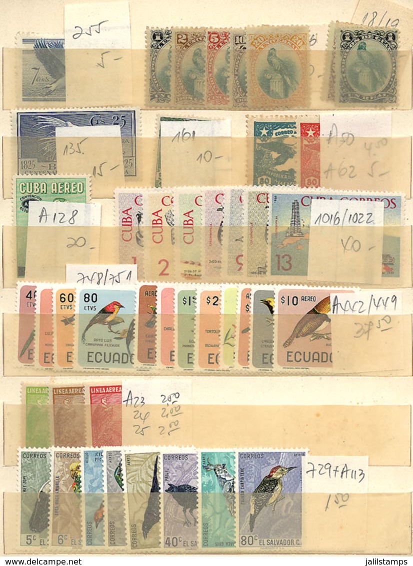 1224 WORLDWIDE: TOPIC BIRDS: Stockbook With Good Number Of Stamps And Sets, Mint (many MN - Autres & Non Classés