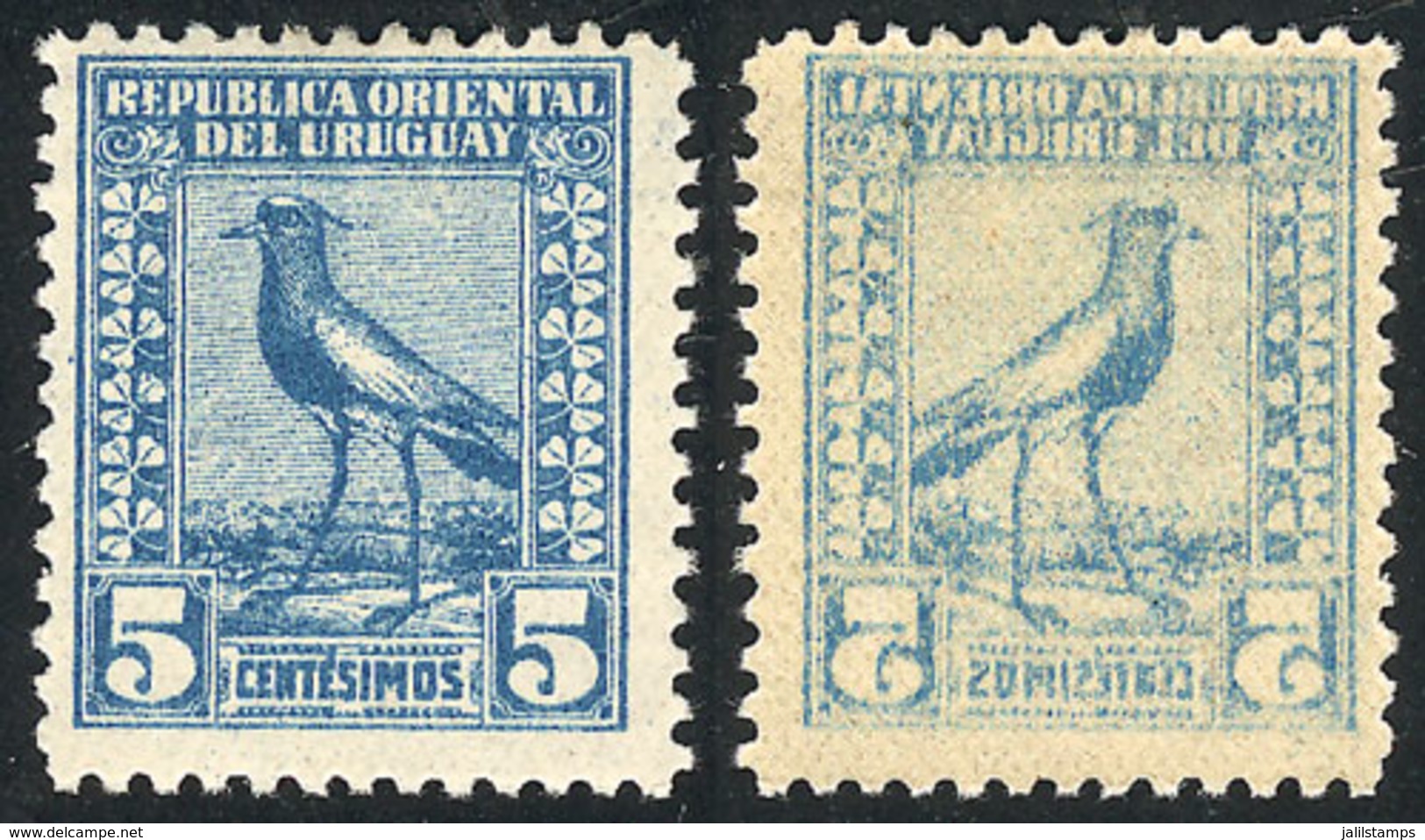 1247 URUGUAY: Sc.271, 1923 Tero 5c. Azul, Con VARIEDAD: Retintado Al Dorso, MB Calidad!: - Uruguay