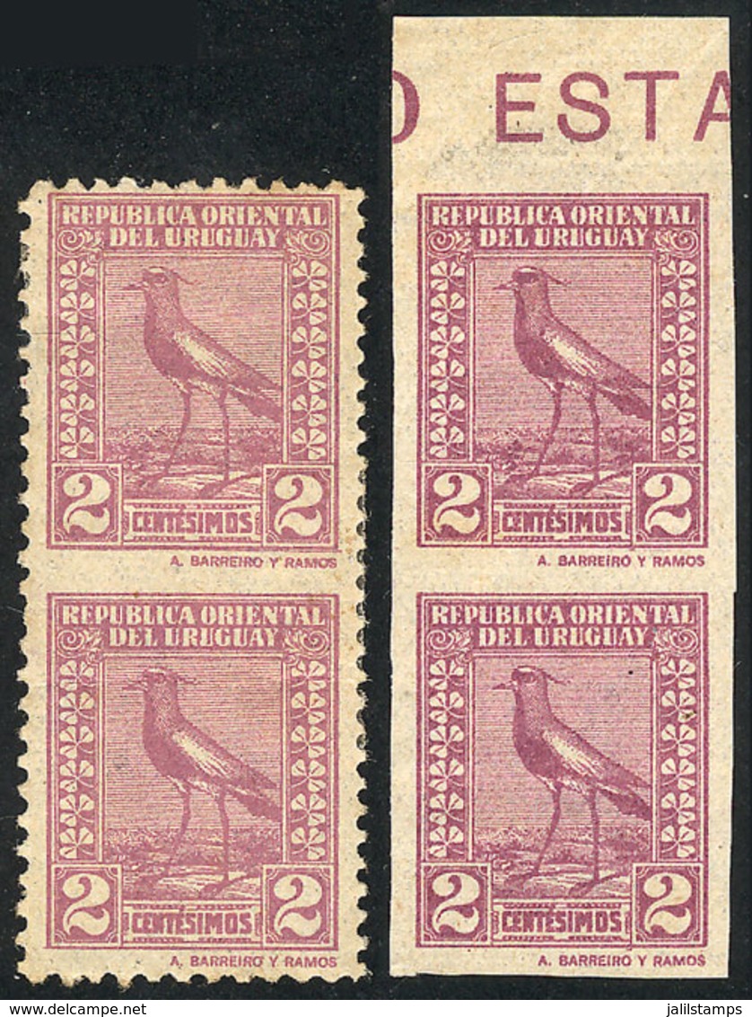 1248 URUGUAY: Sc.287, 1924 Tero Southern Lapwing 2c., Imperforate Pair + Pair Imperforate - Uruguay