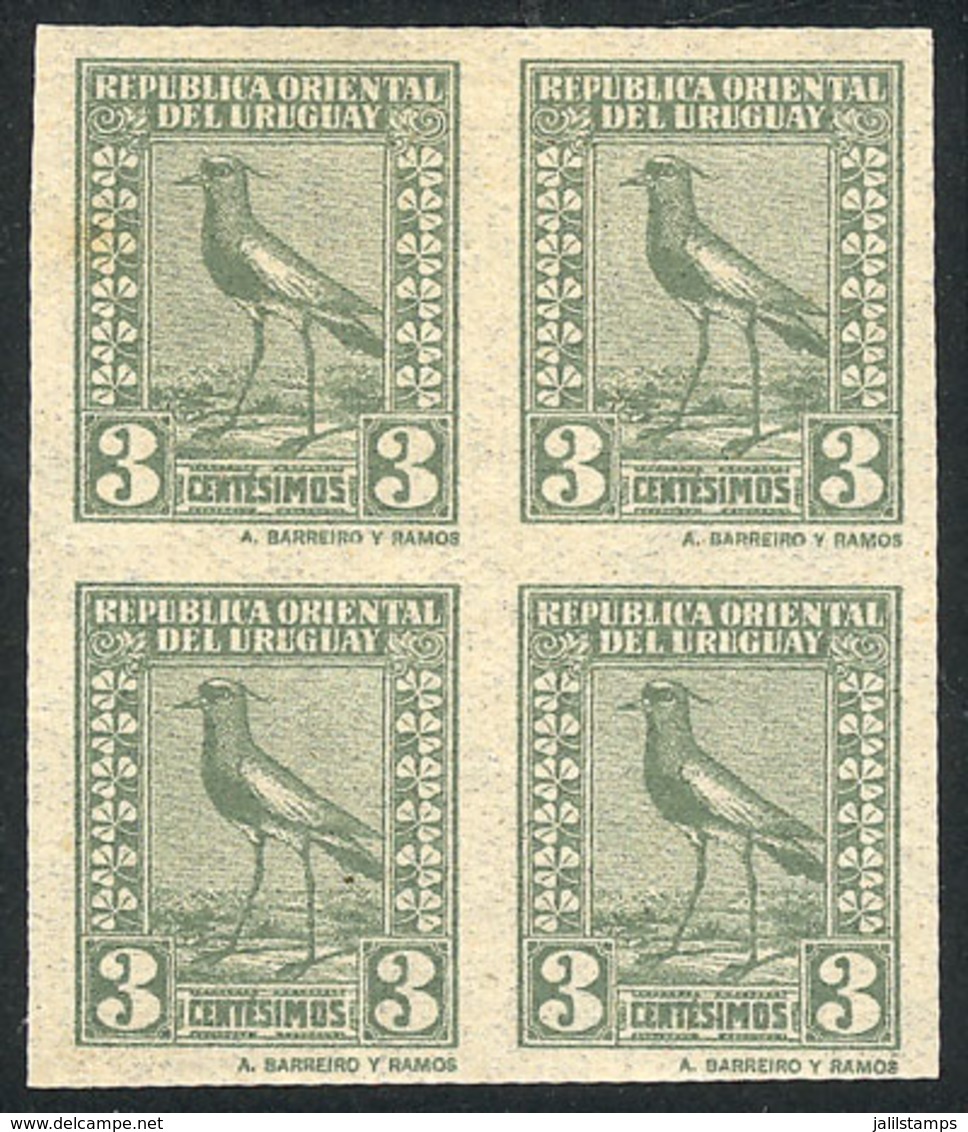 1249 URUGUAY: Sc.288, 1924 Tero Southern Lapwing 3c., IMPERFORATE BLOCK OF 4, Excellent Q - Uruguay
