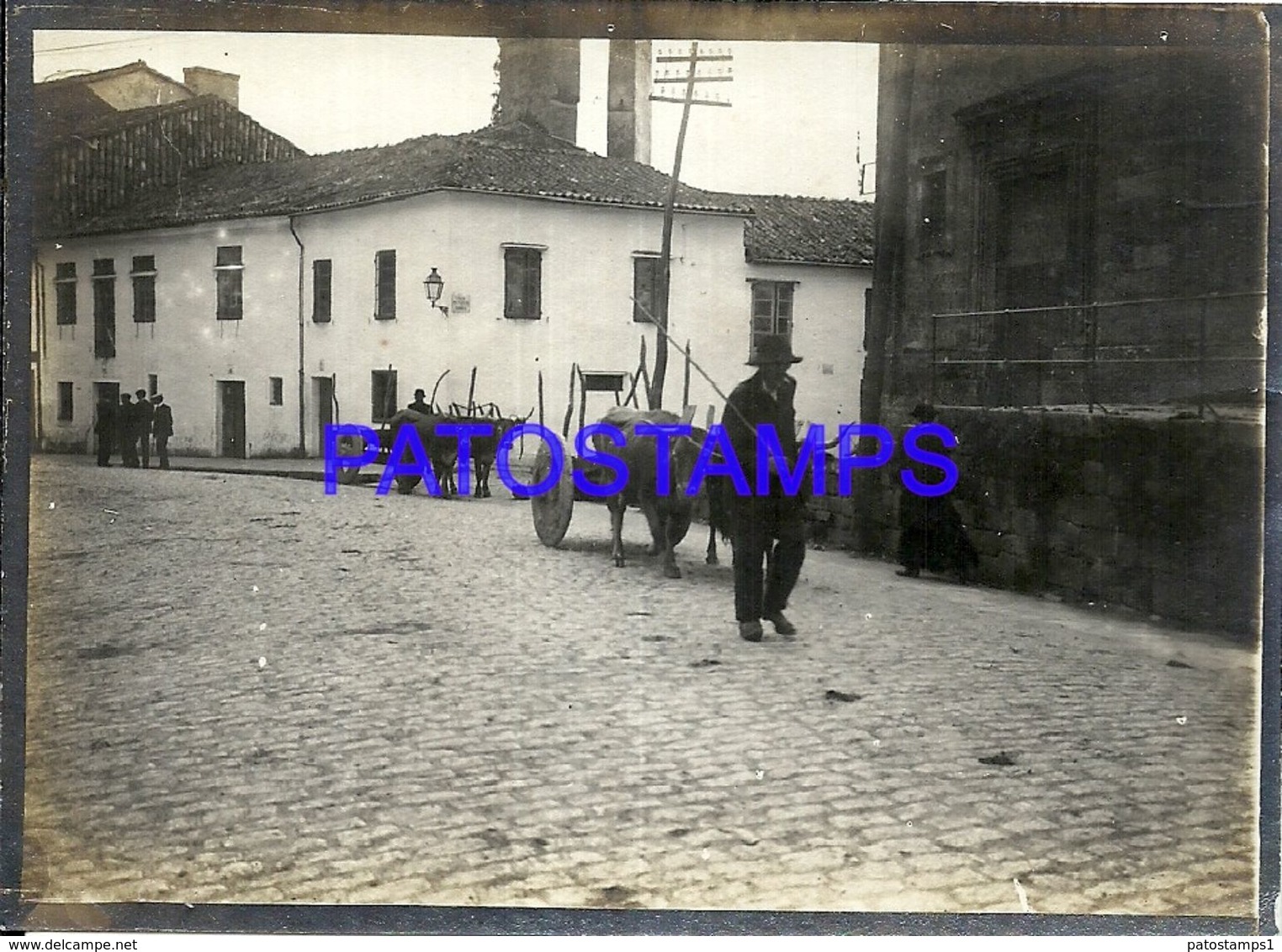 90383 SPAIN ESPAÑA SANTIAGO GALICIA COSTUMES COWS AND MEN ON THE STREET PHOTO NO POSTAL POSTCARD - Photographie