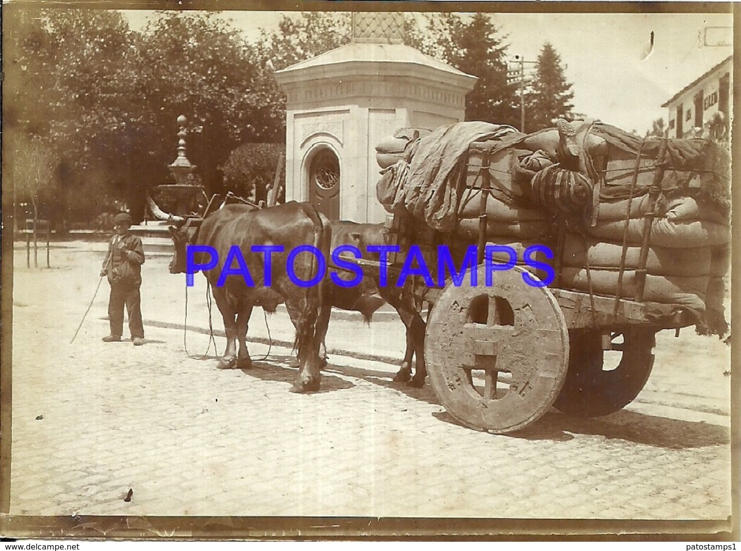 90385 SPAIN ESPAÑA SANTIAGO GALICIA COSTUMES COWS AND MEN LOADING PHOTO NO POSTAL POSTCARD - Photographie