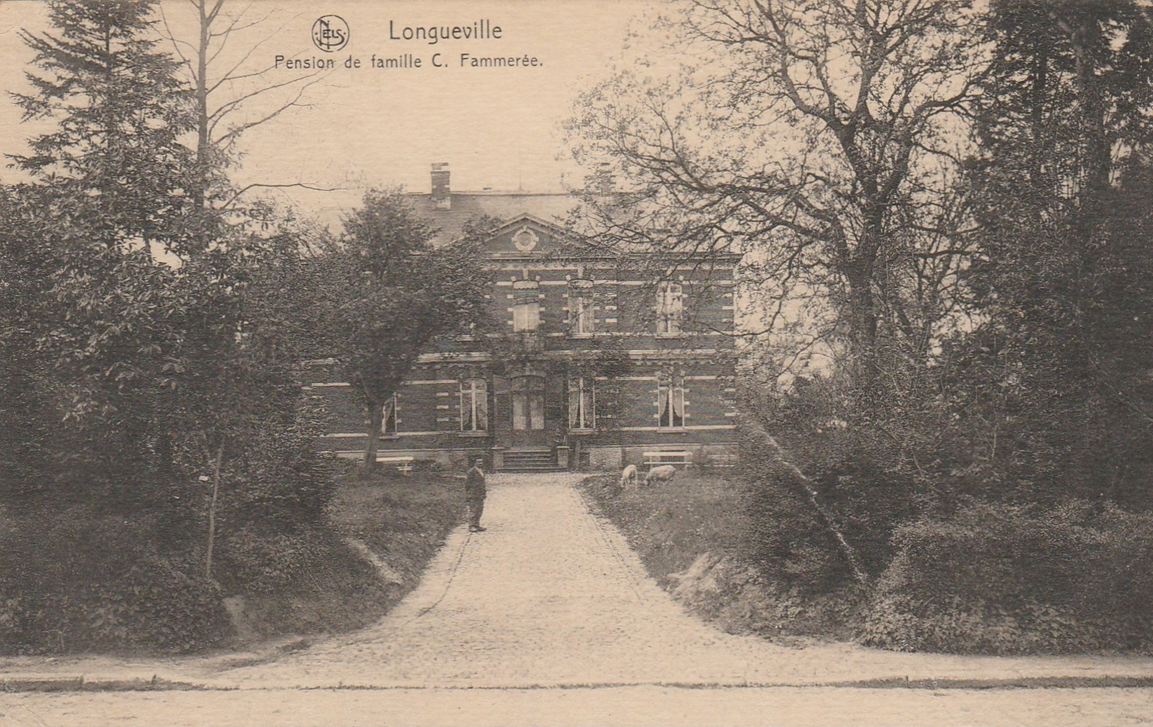 Longueville ,( Chaumont-Gistoux ),Pension De Famille C Fammerée (Editeur :  Charlier-Niset à Wavre ) - Chaumont-Gistoux