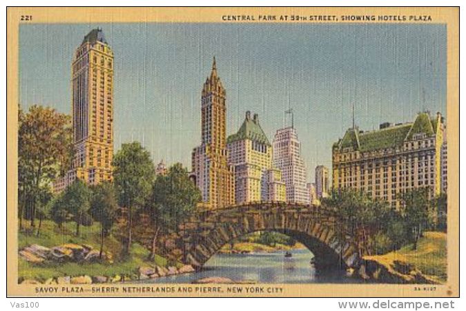 CPA NEW YORK CITY- CENTRAL PARK, HOTELS PLAZA, BRIDGE - Central Park