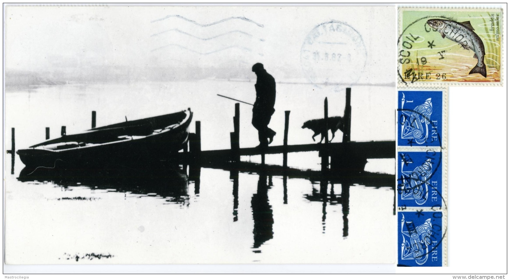 IRELAND  Photographed By Mark Fiennes The Fisherman, The Dog And The Boat  Nice Stamps - Fotografia