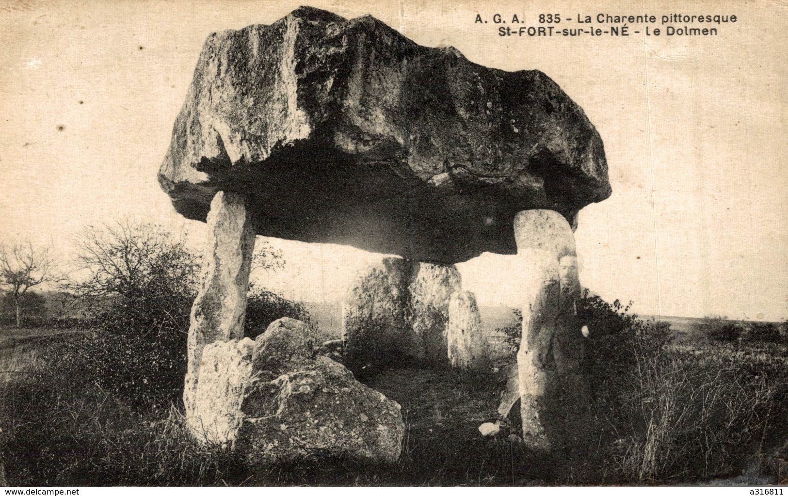 ST FORT SUR LE NE LE DOLMEN - Sonstige & Ohne Zuordnung