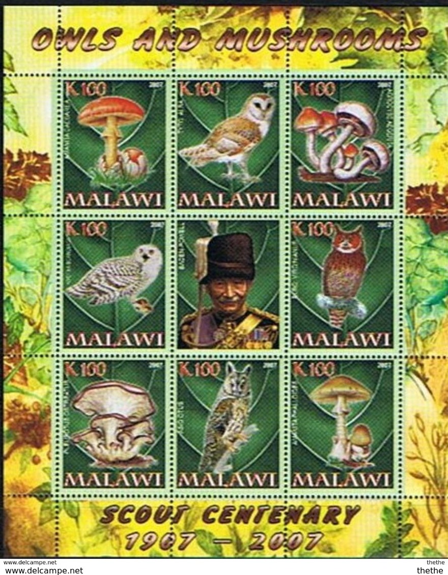 MALAWI -Champignons &Rapaces Nocturnes - Amanita Caesarea - Agrocybe Aegerita - Pleurotus Ostreatus - Amanita Phalloides - Malawi (1964-...)