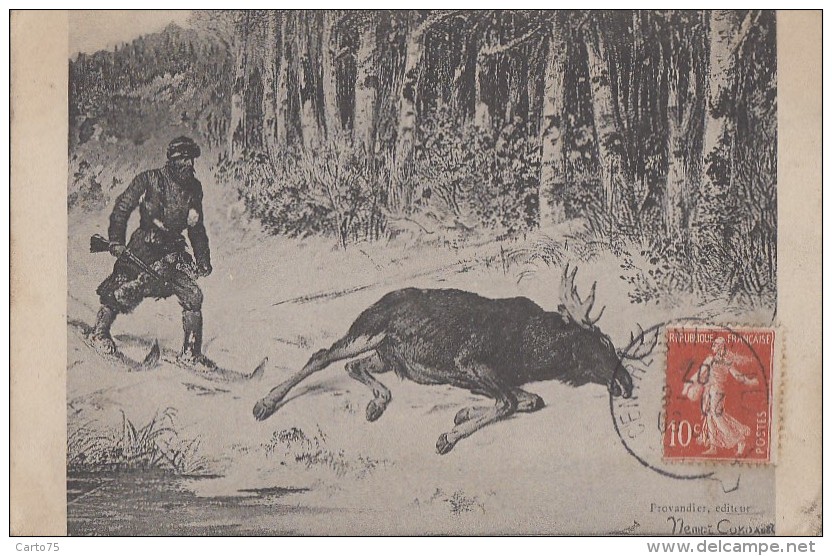 Chasse - Grand Nord - Orignal - Ski De Fond - Illustration - 1907 - Chasse