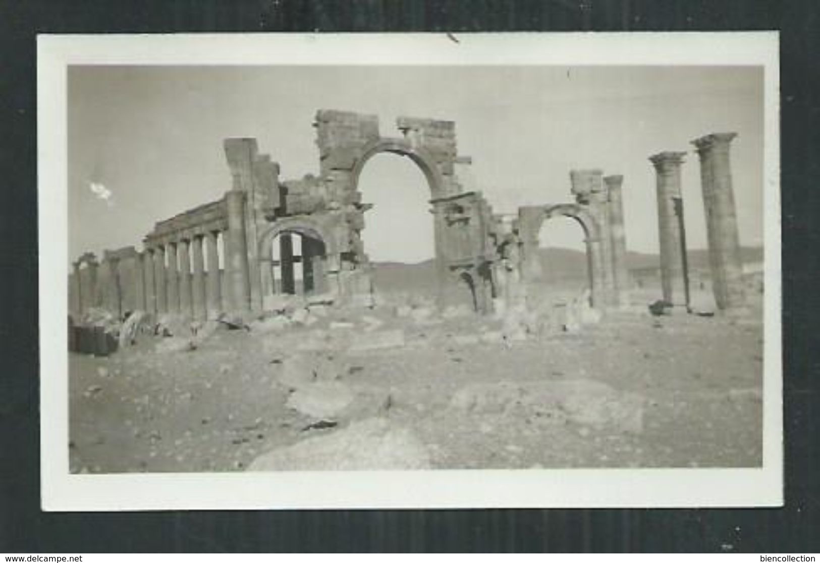 Photo Format 10.5cm X 7cm De Palmyre (Syrie) - Luoghi