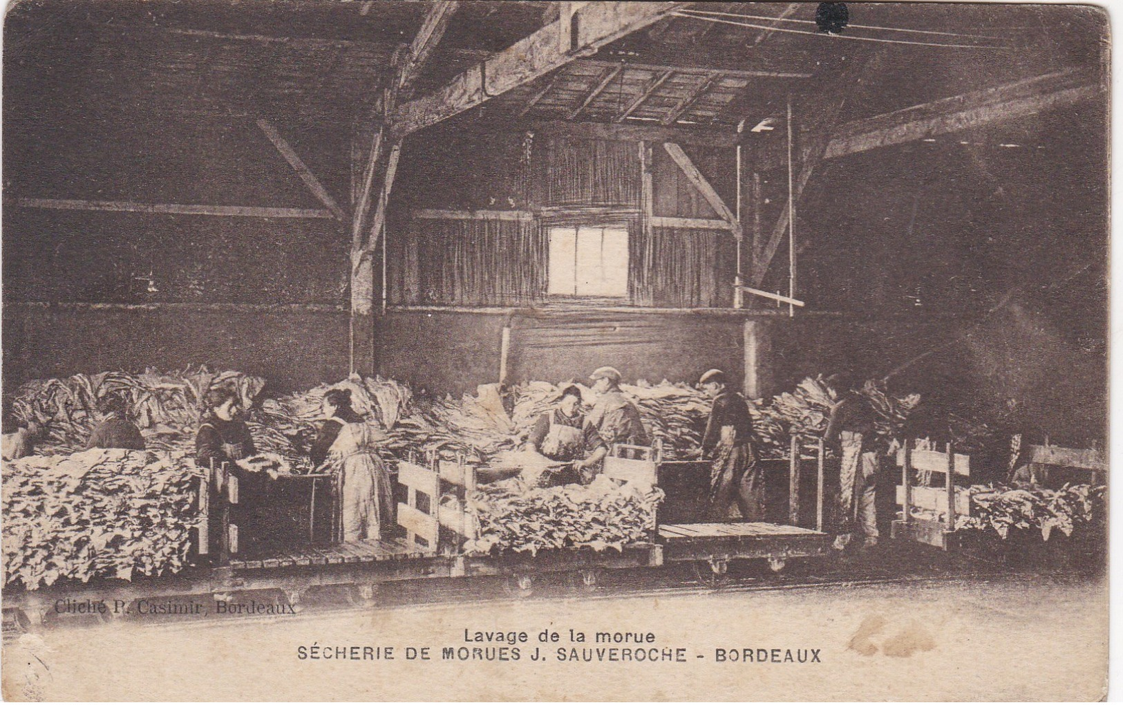 BORDEAUX Secherie De Morues SAUVEROCHE - Bordeaux