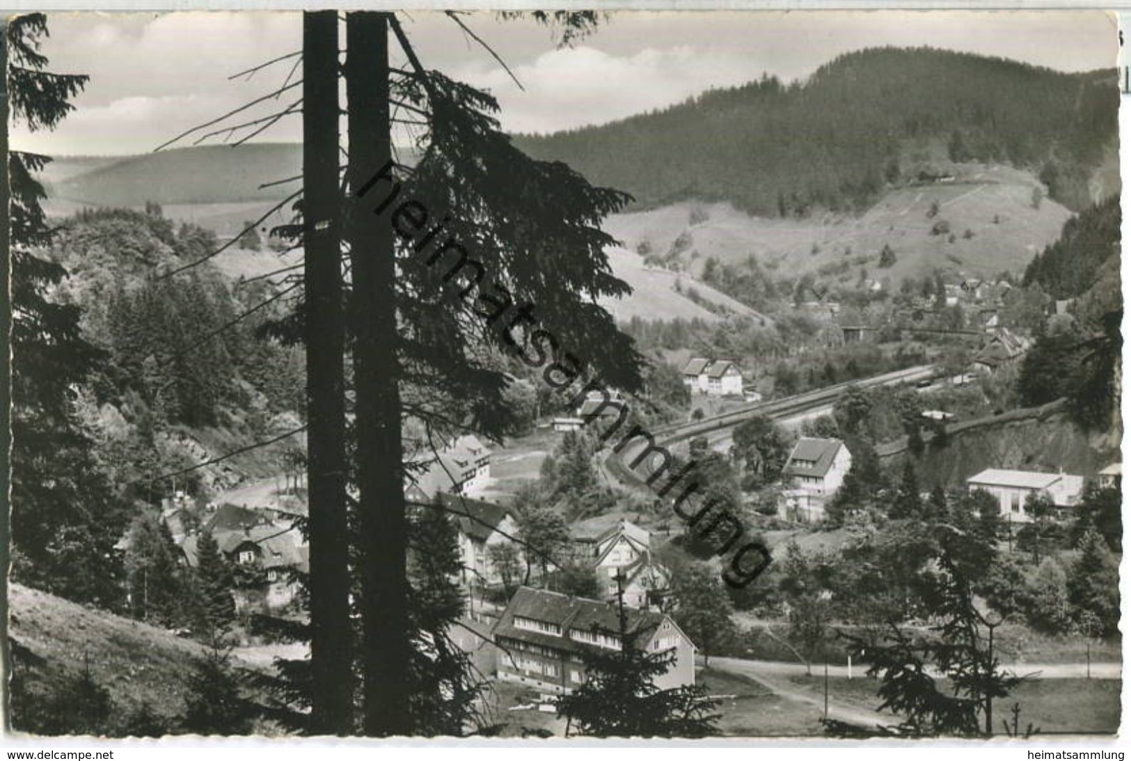 Wildemann - Foto-Ansichtskarte - Verlag Carl Thoericht Hann. Münden - Wildemann