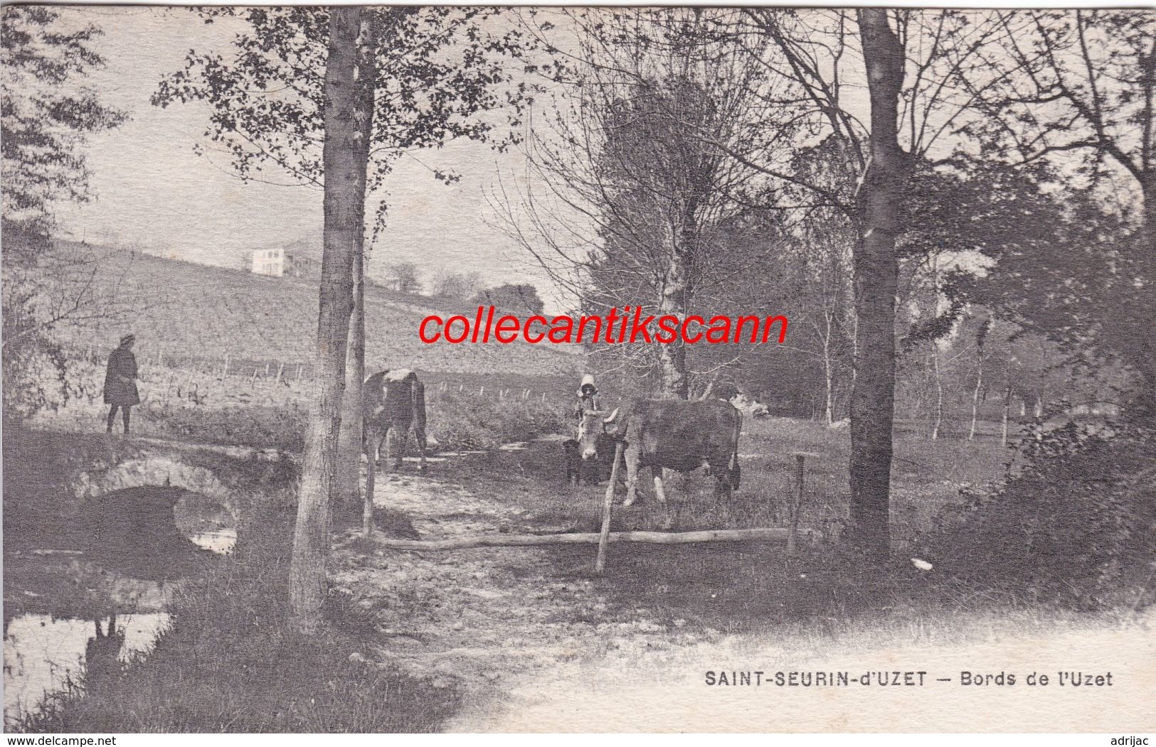 Saint Seurin D'Uzet  Bords De L'Uzet Scann Recto Verso - Autres & Non Classés