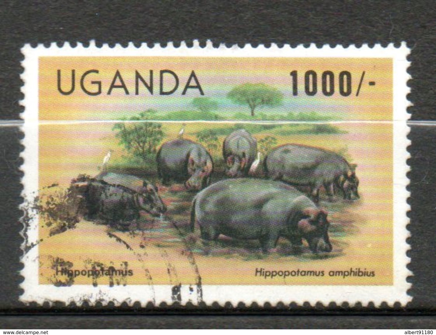 OUGANDA  Hippopotames 1979 N° 238 - Uganda (1962-...)