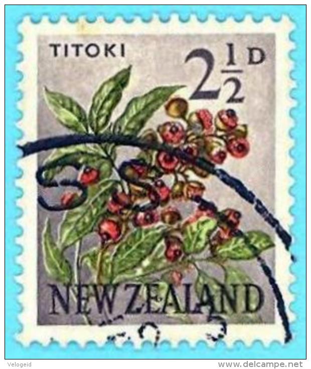 Nueva Zelanda. New Zealand. 1960. Scott # 336. Titoki Flower - Usados