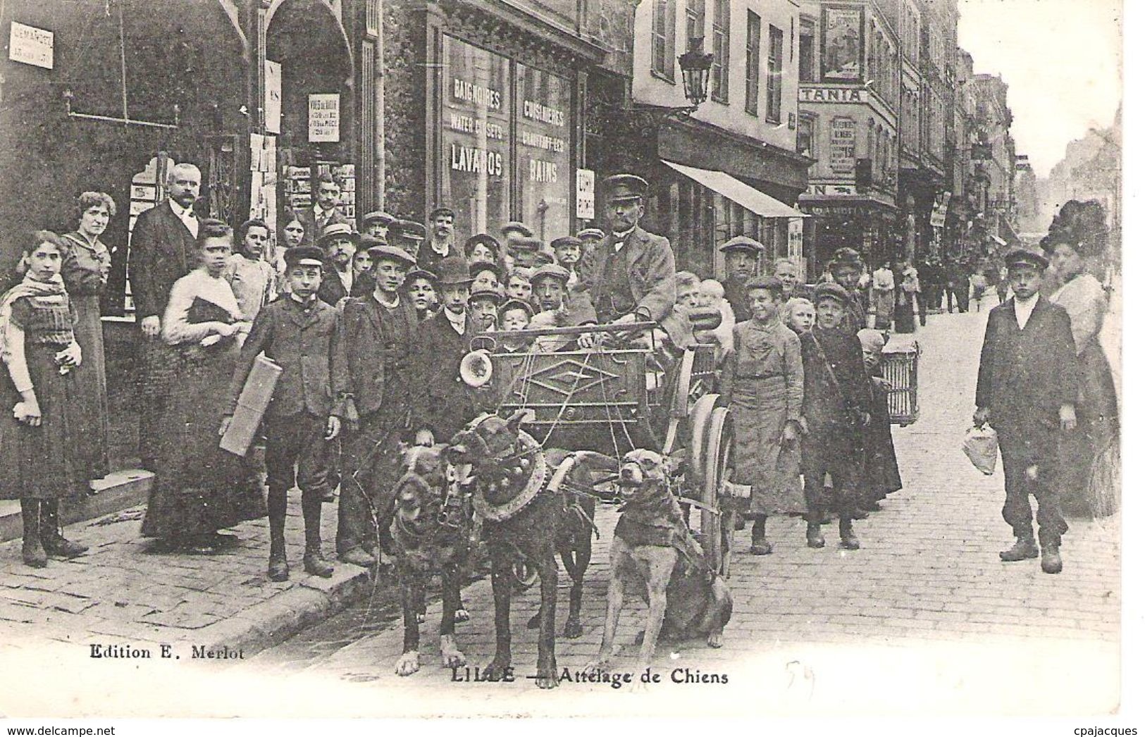 59 - LILLE : ATTELAGE DE CHIENS .SUPERBE ! CPA TOP !!! - Lille