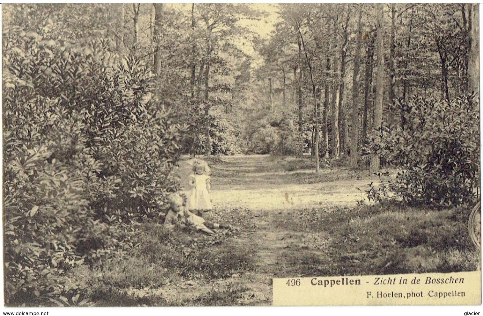 CAPPELLEN - Zicht In De Bosschen - F. Hoelen 496 - Kapellen