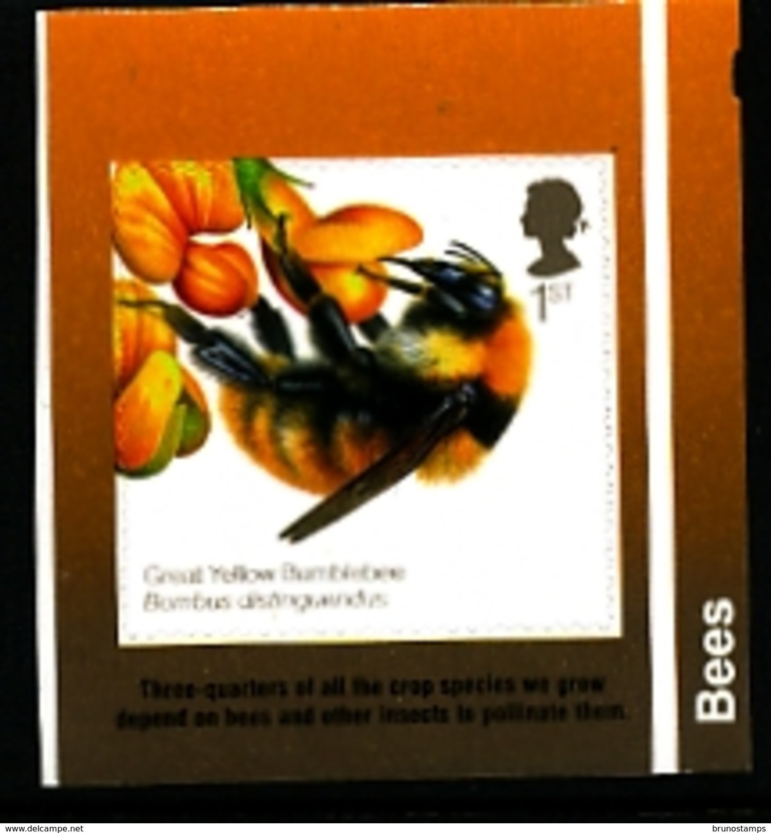 GREAT BRITAIN - 2015  BEES  SELF ADHESIVE EX BOOKLET  MINT NH - Nuovi