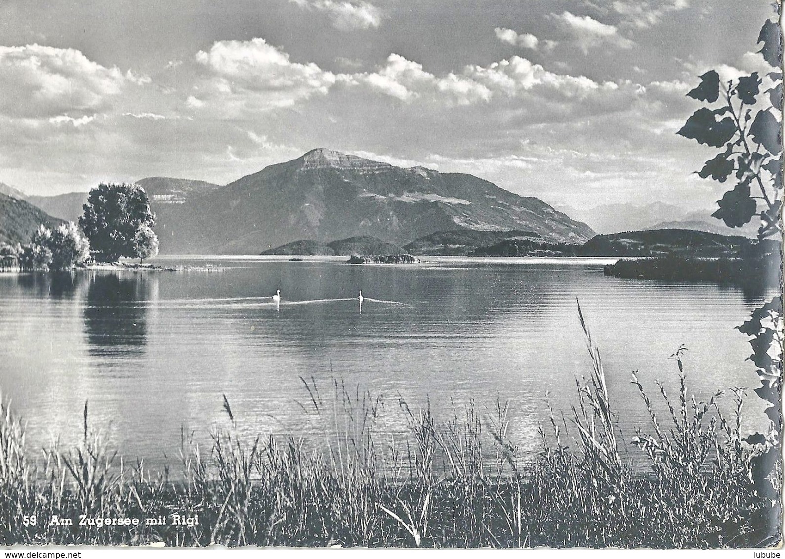 Am Zugersee Mit Rigi               Ca. 1950 - Zoug