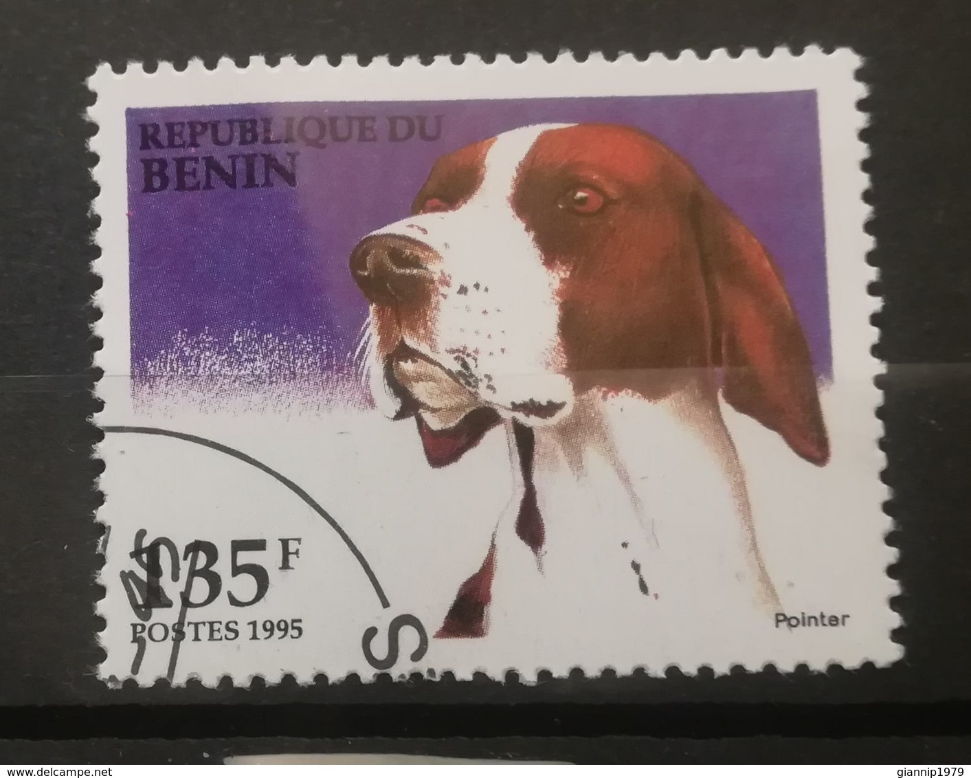 FRANCOBOLLI STAMPS BENIN AFRICA 1995 SERIE CANI - Benin – Dahomey (1960-...)