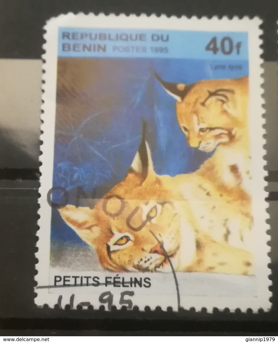 FRANCOBOLLI STAMPS BENIN AFRICA 1995 SERIE FELINI CON PICCOLI - Benin – Dahomey (1960-...)