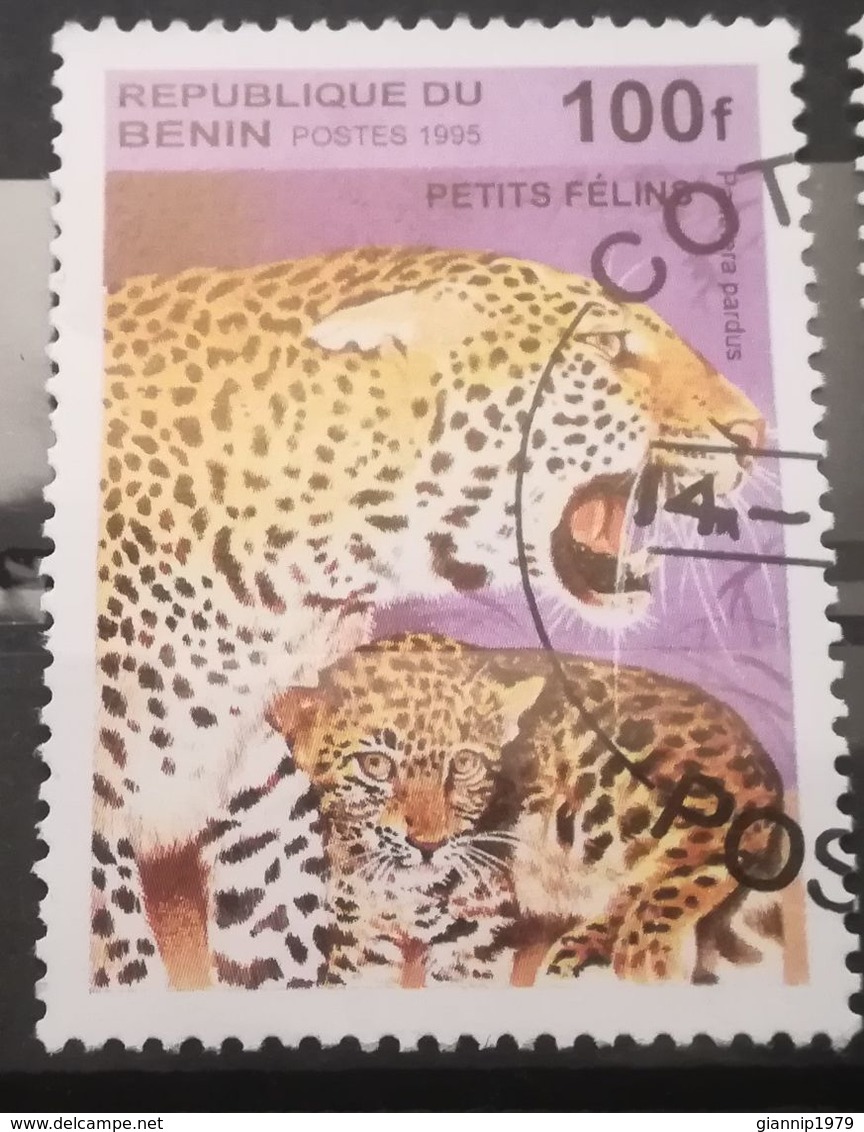 FRANCOBOLLI STAMPS BENIN AFRICA 1995 SERIE FELINI CON PICCOLI - Benin – Dahomey (1960-...)