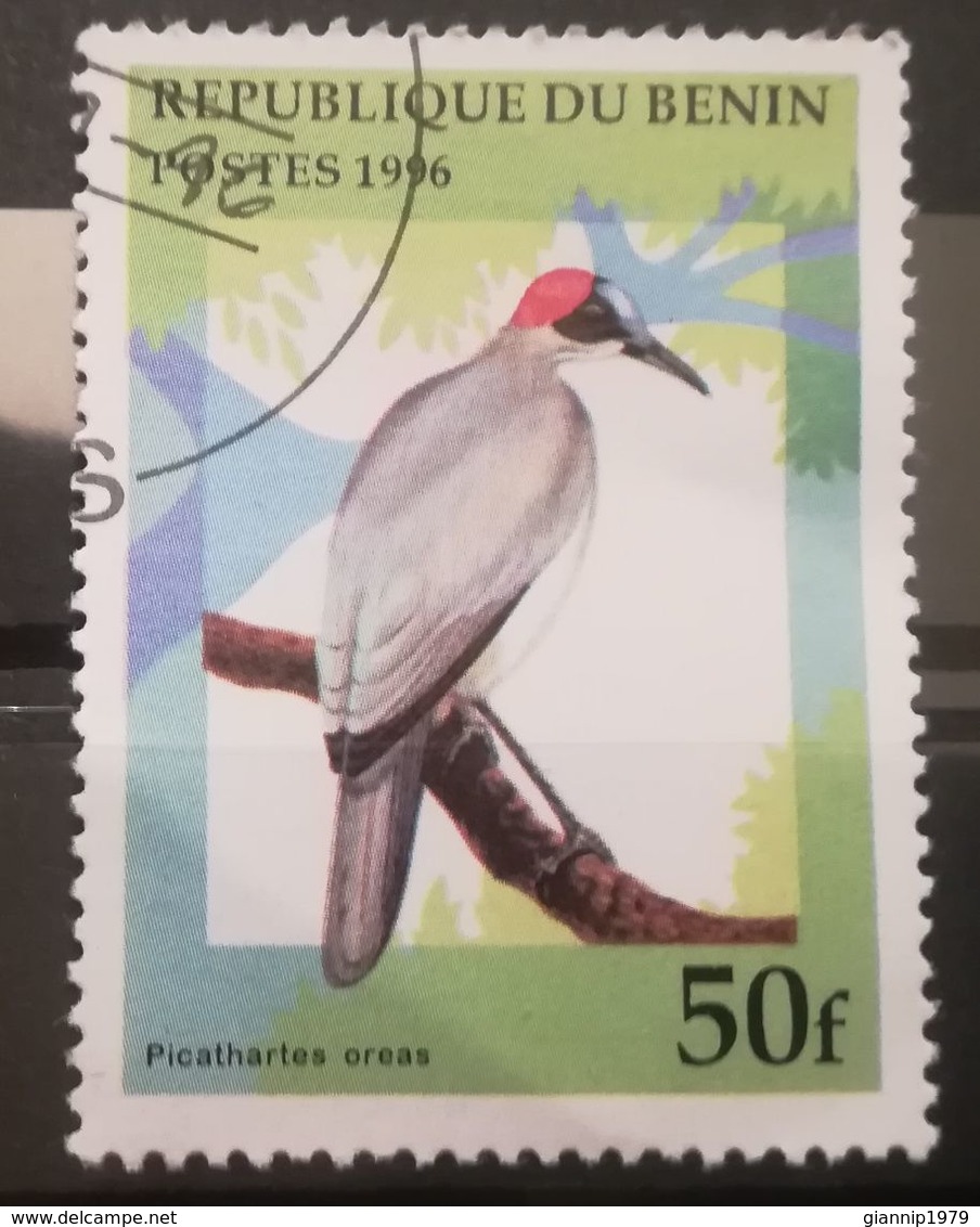 FRANCOBOLLI STAMPS BENIN AFRICA 1996 SERIE UCCELLI - Benin – Dahomey (1960-...)