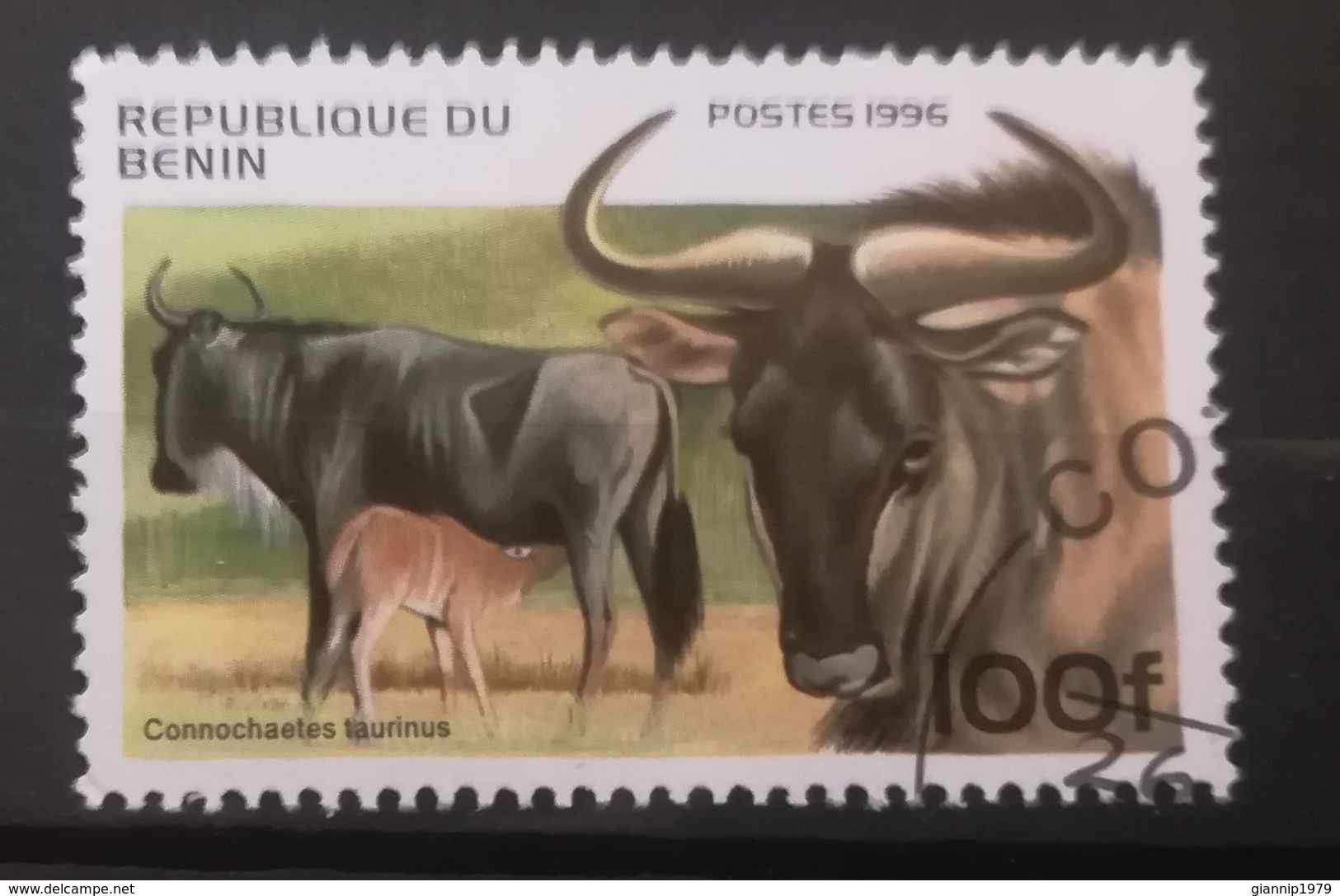 FRANCOBOLLI STAMPS BENIN AFRICA 1996 SERIE MAMMIFERI - Benin – Dahomey (1960-...)