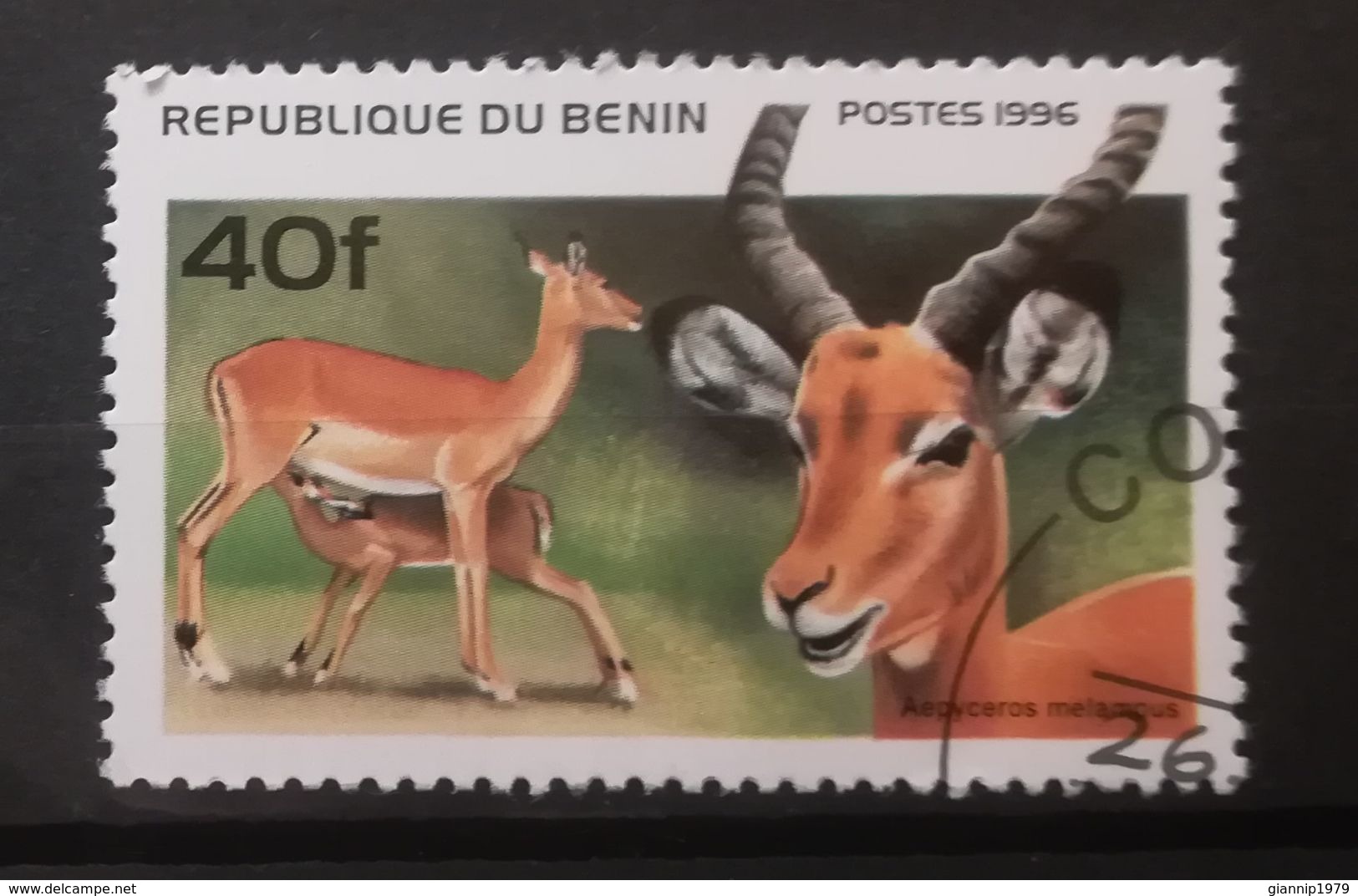 FRANCOBOLLI STAMPS BENIN AFRICA 1996 SERIE MAMMIFERI - Benin – Dahomey (1960-...)