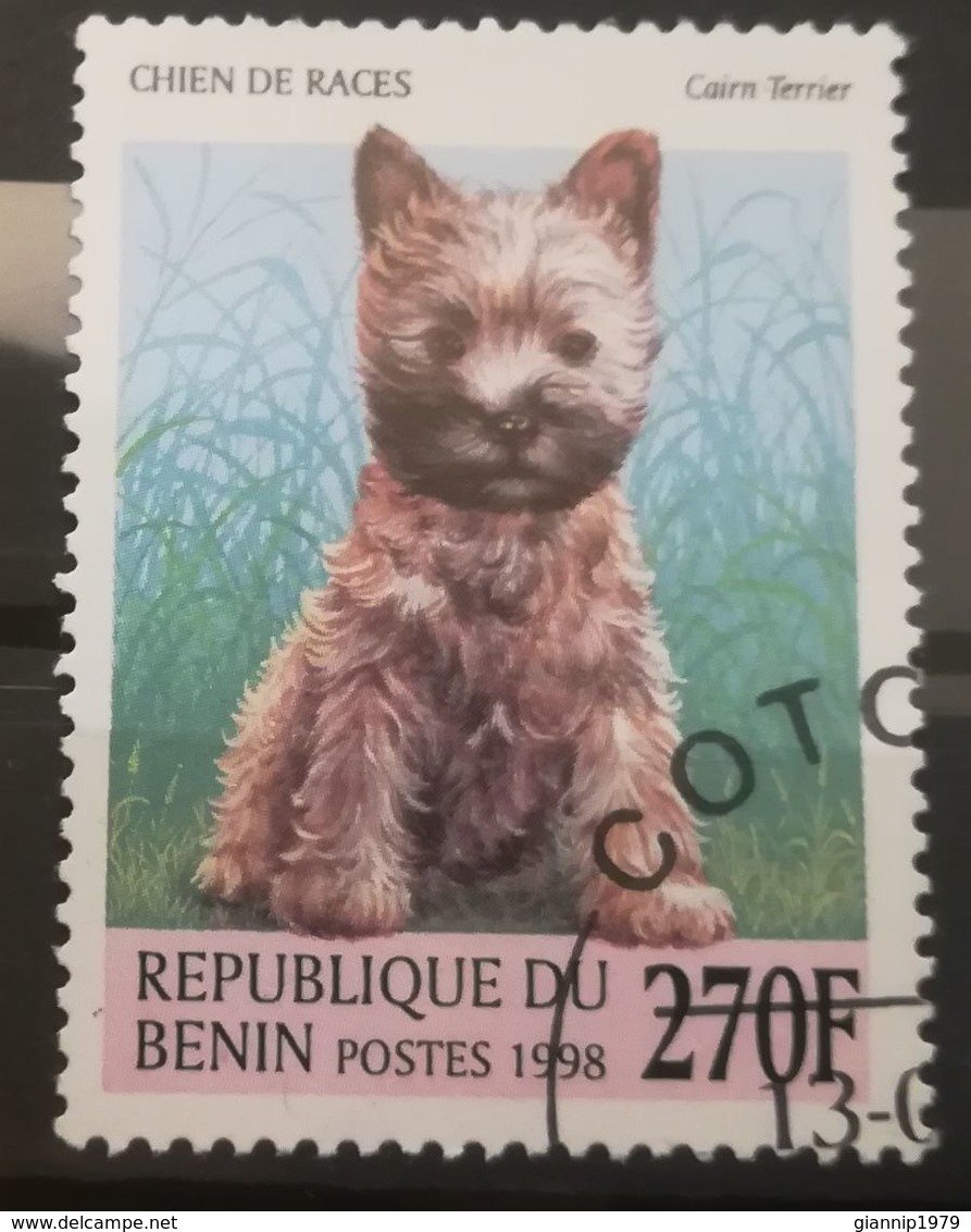 FRANCOBOLLI STAMPS BENIN AFRICA 1998 SERIE CANI - Benin – Dahomey (1960-...)