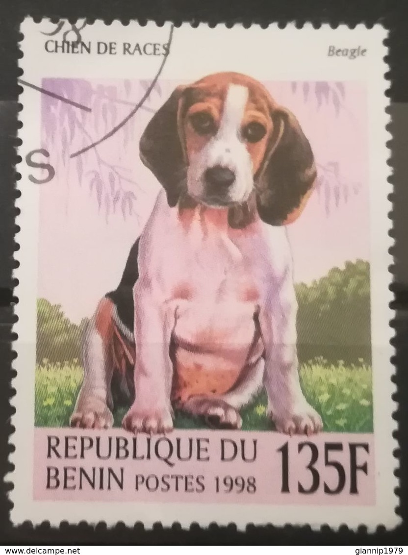 FRANCOBOLLI STAMPS BENIN AFRICA 1998 SERIE CANI - Benin – Dahomey (1960-...)