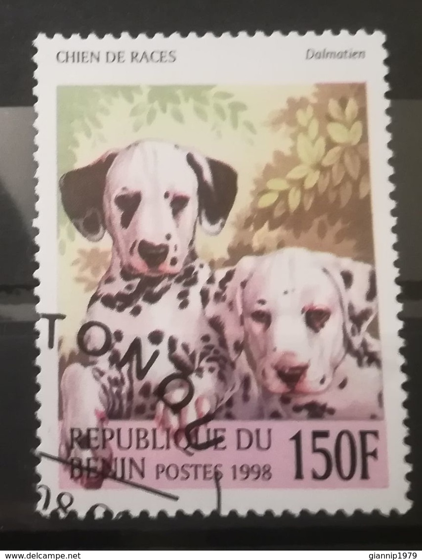 FRANCOBOLLI STAMPS BENIN AFRICA 1998 SERIE CANI - Benin - Dahomey (1960-...)