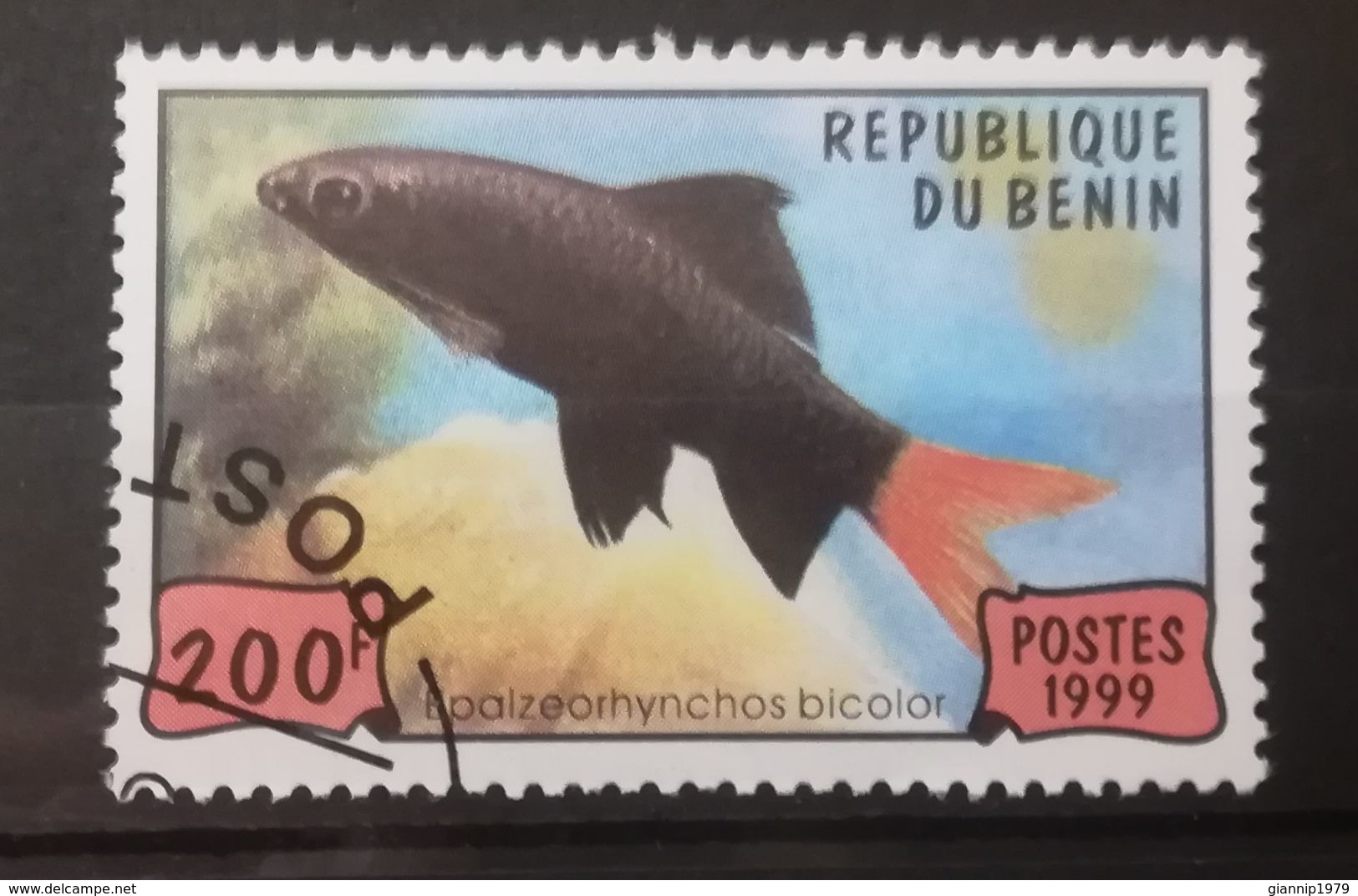 FRANCOBOLLI STAMPS BENIN AFRICA 1999 SERIE PESCI - Benin – Dahomey (1960-...)