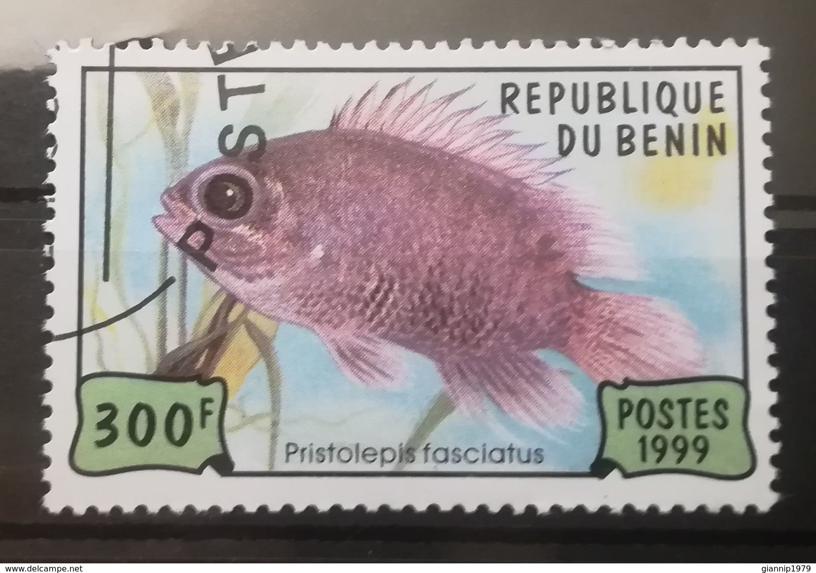 FRANCOBOLLI STAMPS BENIN AFRICA 1999 SERIE PESCI - Benin – Dahomey (1960-...)