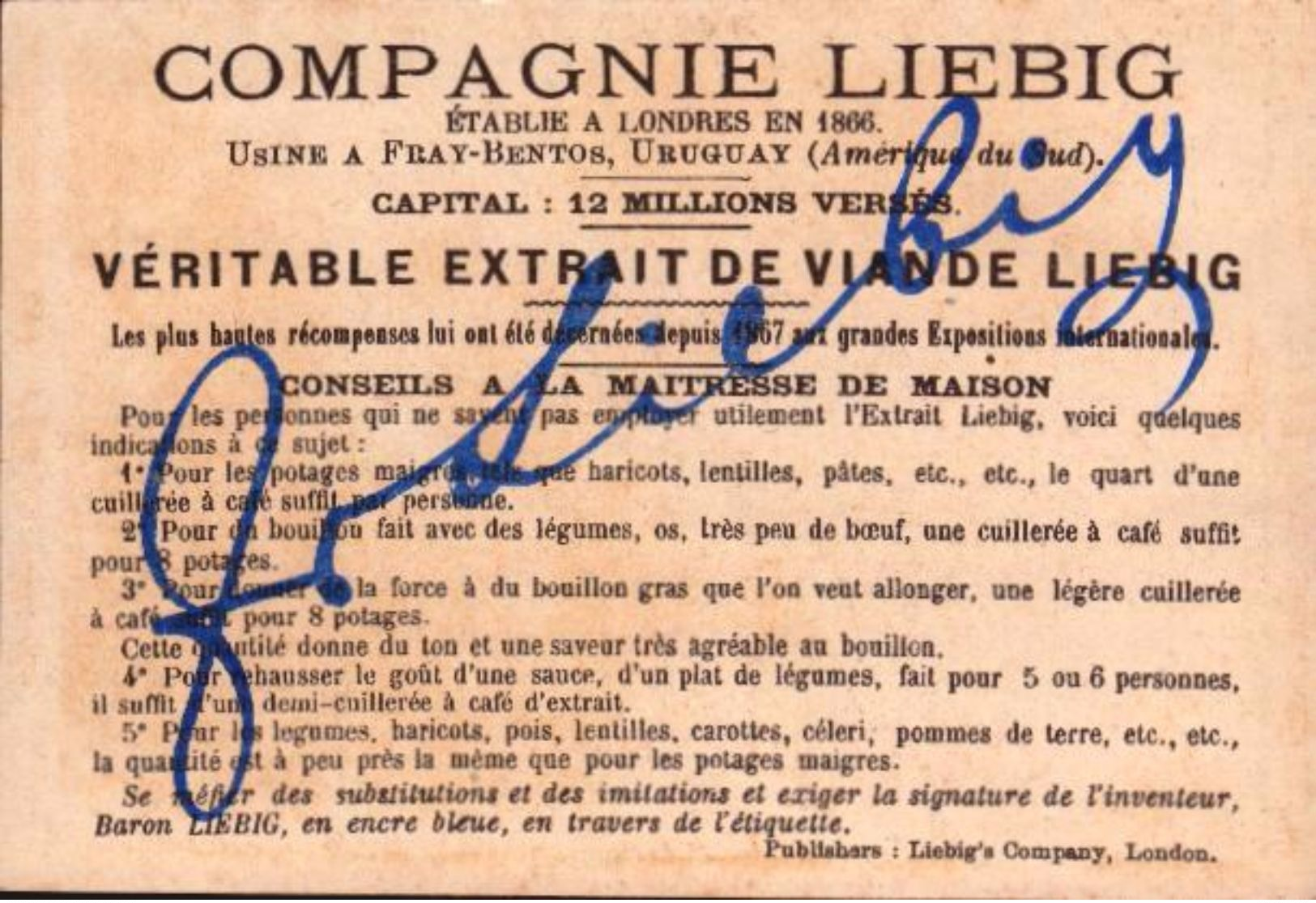 1 Chromos Liebig - S210 - Calandrier Novembre 1888 - Bill-839 - R/V - Liebig