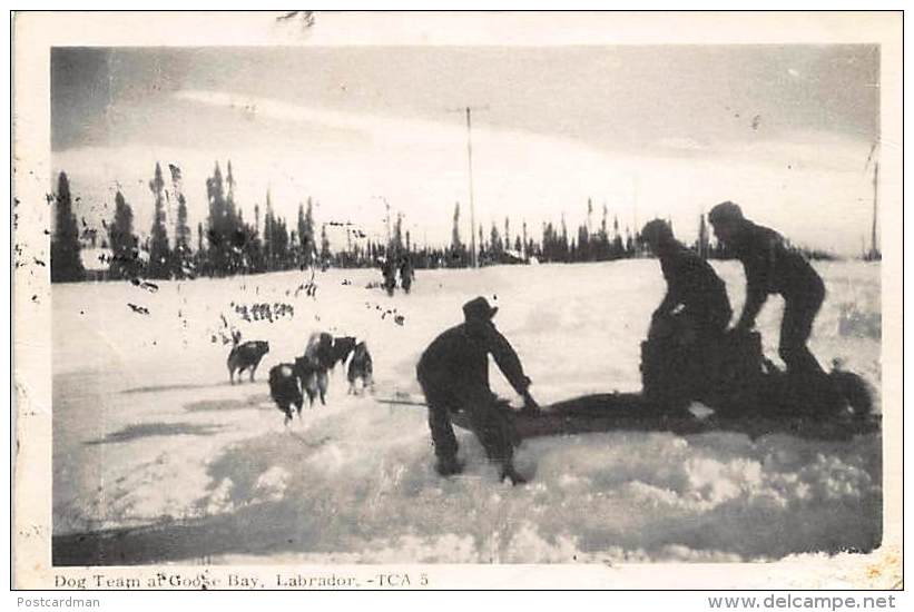 Labrador - Dog Team At Goose Bay - Publ. TCA 5. - Other & Unclassified