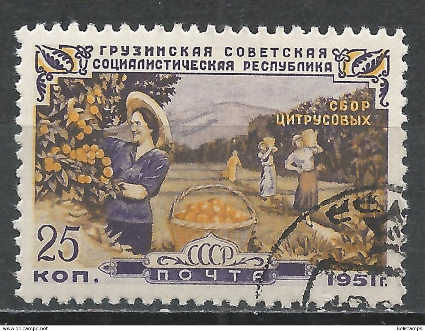 Russia 1951. Scott #1587 (U) Gathering Citrus Fruit - Oblitérés