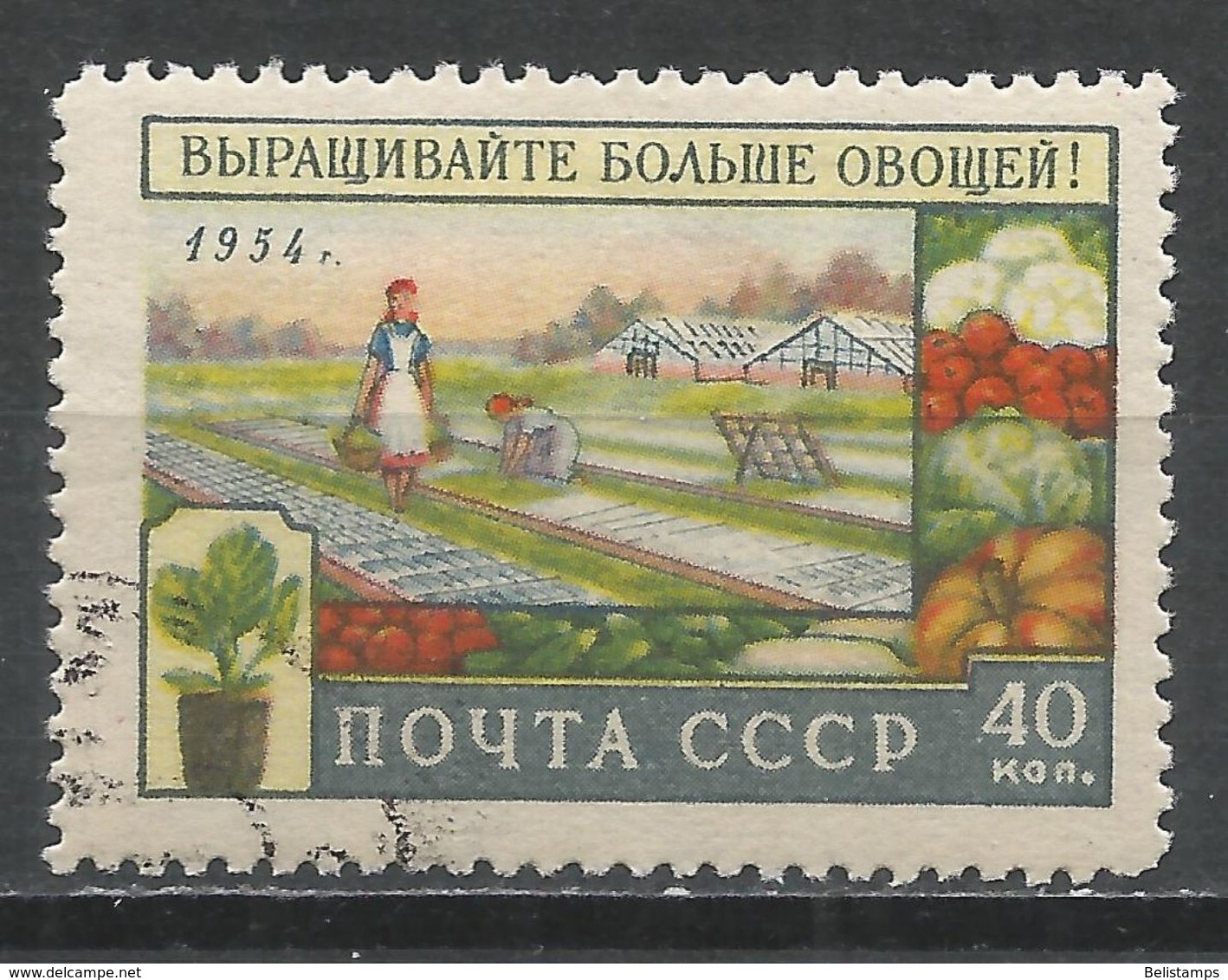 Russia 1954. Scott #1739 (U) Vegetables And Garden * - Oblitérés