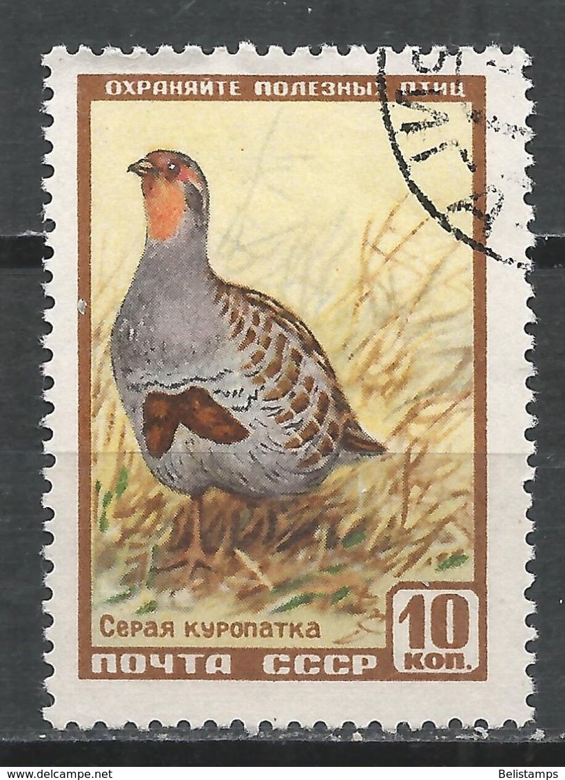 Russia 1957. Scott #1916 (U) Fauna, Gray Partridge - Oblitérés